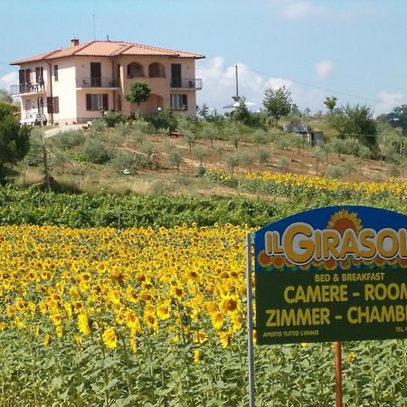 B&B Il Girasole - Rooms & House In Country - 1500 Meters From Historic Center Montepulciano Stazione Exterior foto