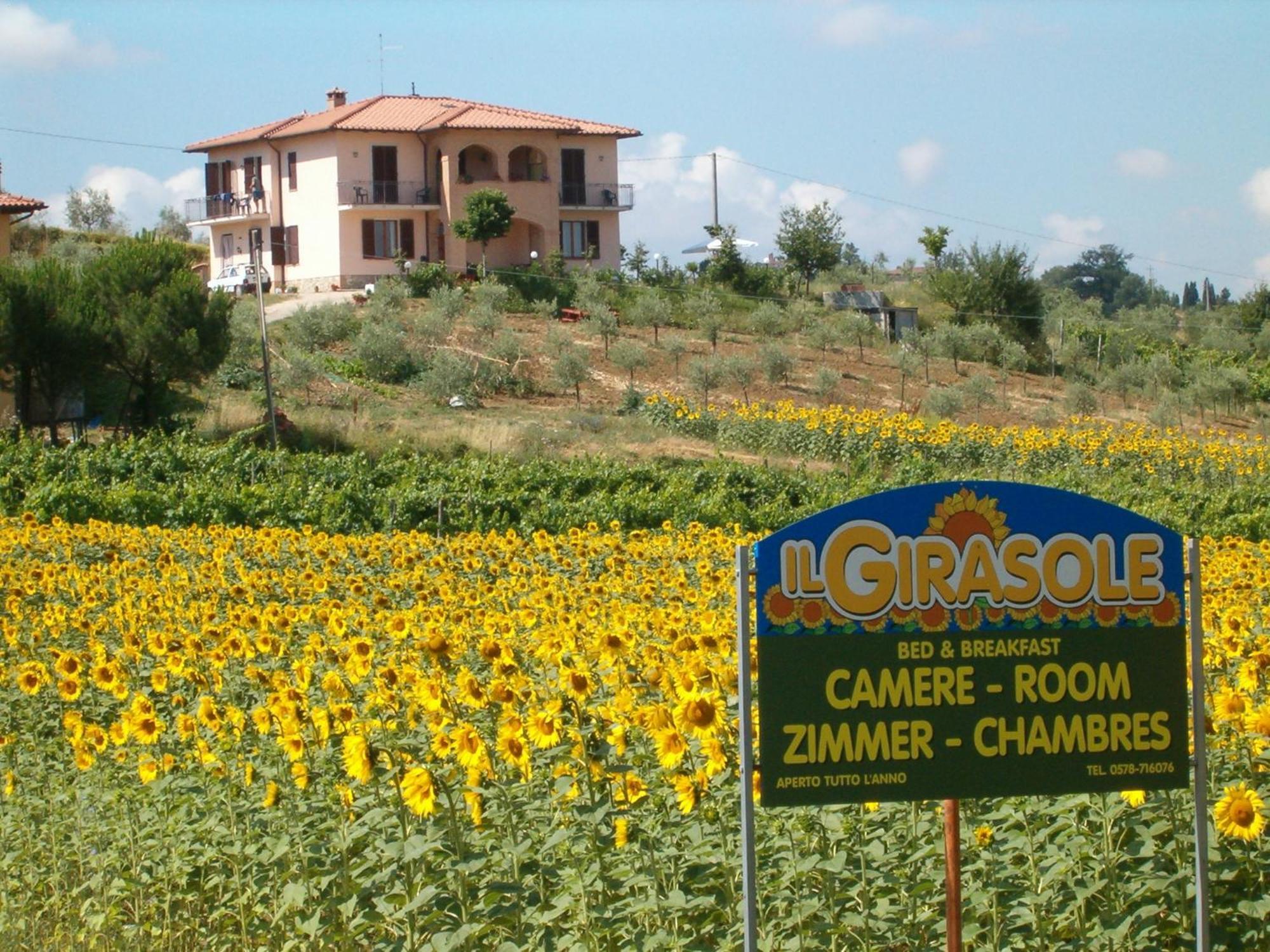 B&B Il Girasole - Rooms & House In Country - 1500 Meters From Historic Center Montepulciano Stazione Exterior foto