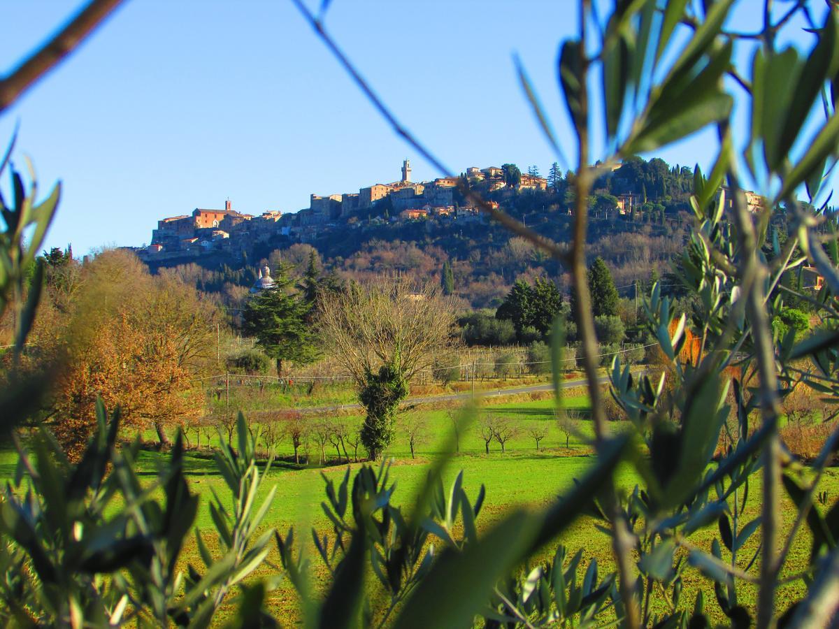 B&B Il Girasole - Rooms & House In Country - 1500 Meters From Historic Center Montepulciano Stazione Exterior foto