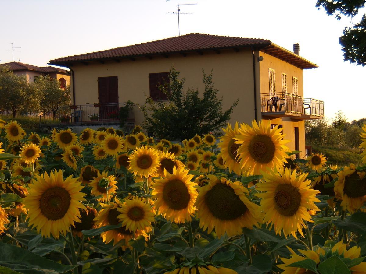 B&B Il Girasole - Rooms & House In Country - 1500 Meters From Historic Center Montepulciano Stazione Exterior foto