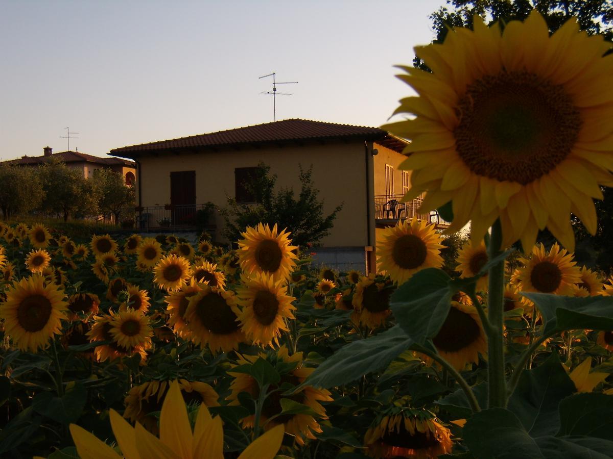B&B Il Girasole - Rooms & House In Country - 1500 Meters From Historic Center Montepulciano Stazione Exterior foto